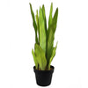 Tropical Artificial Plants 70cm Sansevieria Moonshine 70cm Plants