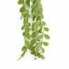 Pack of 6 x 90cm Artificial Trailing Eucalyptus Style Hanging Plant Faux Greenery Vine - Premium Quality