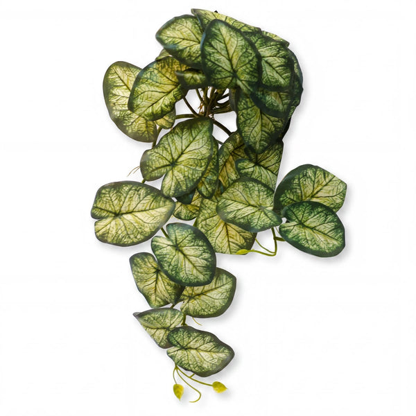 Pack of 6 x 25cm Artificial Trailing Variegated Caladium Vine Plant Dark Green - Premium Quality