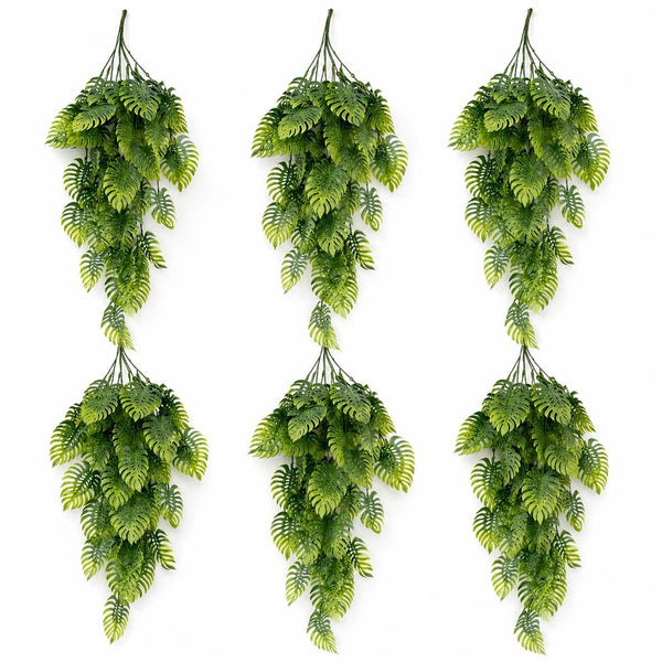 Pack of 6 x 80cm Trailing Tropical Monstera Plant - Sage Green - Premium Quality