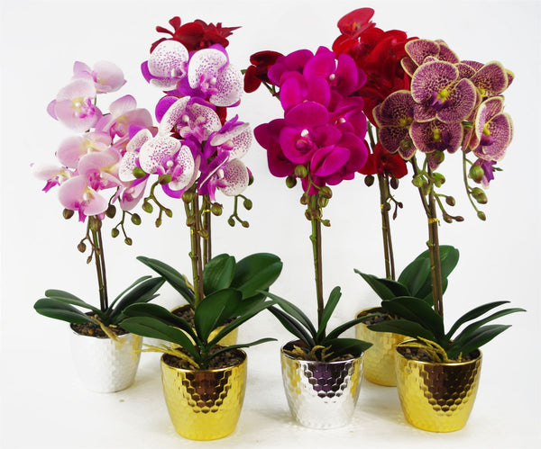 Orchid Artificial Purple White 50cm Gold Pot Phalaenopsis