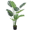 (4ft) Luxury Monstera Plant Black Pot 120cm
