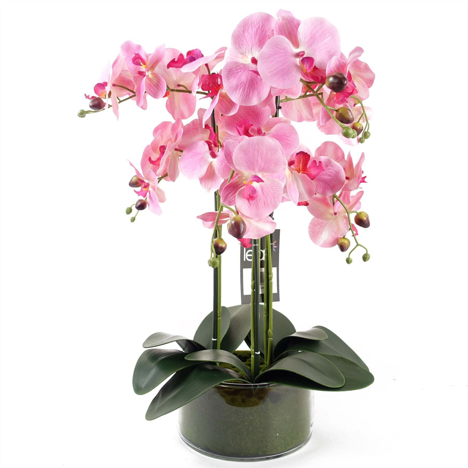 Artificial Orchid with Glass Planter Pink Botanik