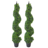 Buxus Boxwood Spiral Trees 120cm Buxus Pair