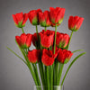 Pack of 6 x 80cm Artificial Tulip Red Stem - Premium Quality