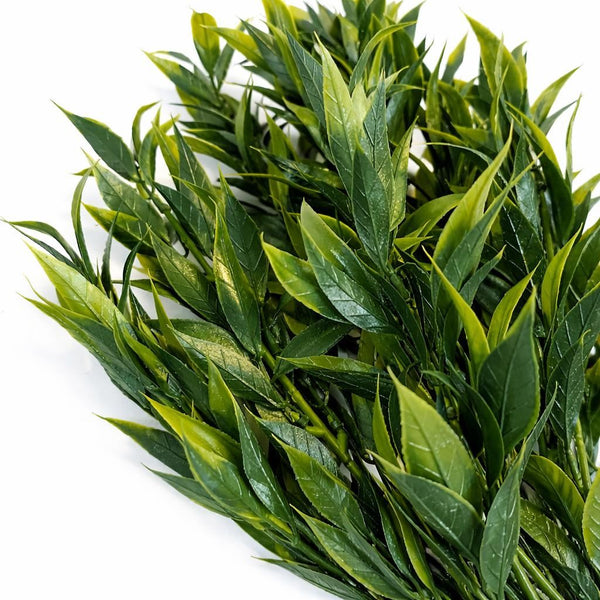 Pack of 6 x 75cm Artificial Laurel Leaf Foliage Bush Stem