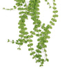Pack of 6 x Hanging UV and Fire Resistant Artificial Plant Pearl String 92cm - Premium Quality