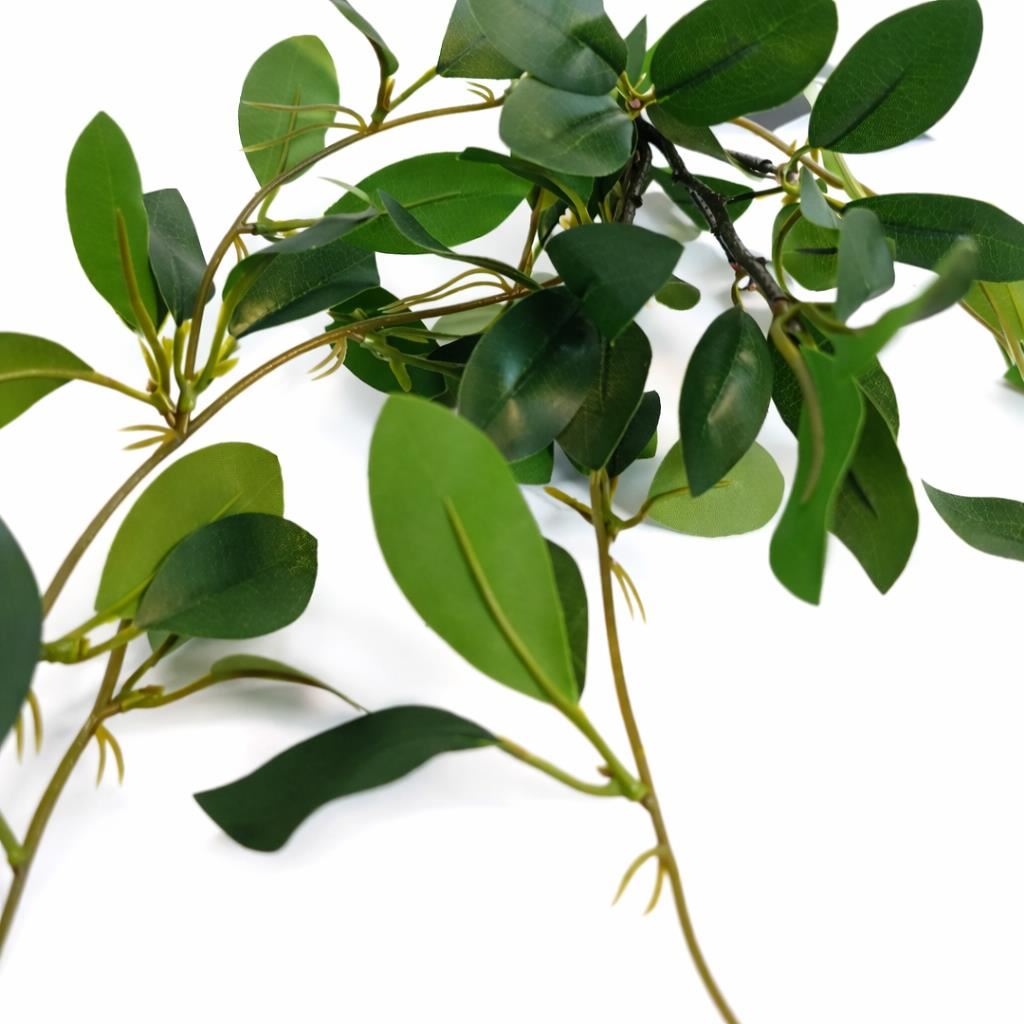55cm Artificial Trailing Ficus Vine Stem - Premium Quality