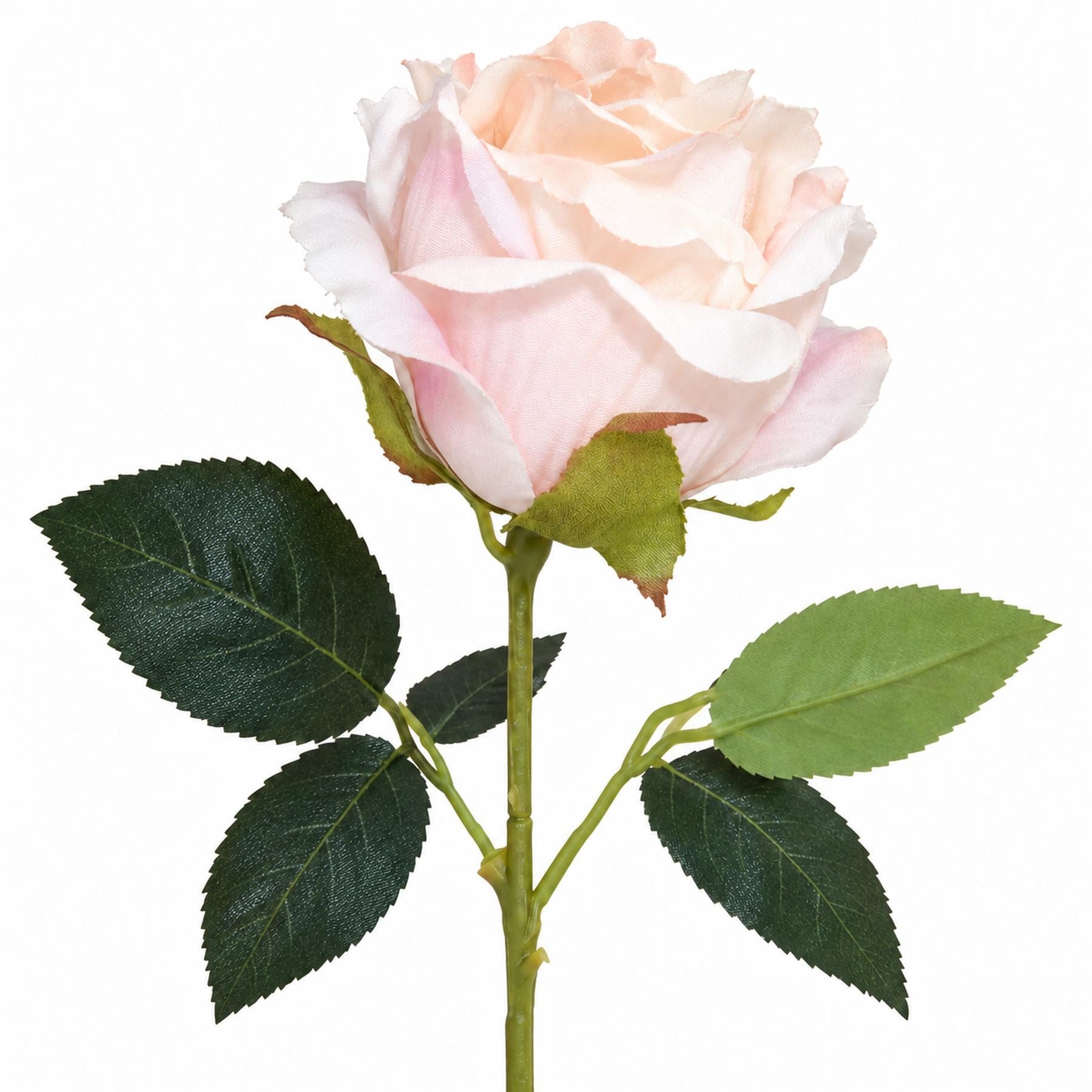 Pack of 6 x 55cm Artificial Light Pink Rose Stems