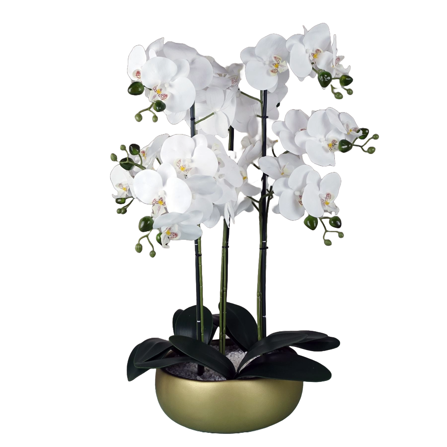 Orchid White - Gold Ceramic Planter