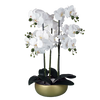 Orchid White - Gold Ceramic Planter