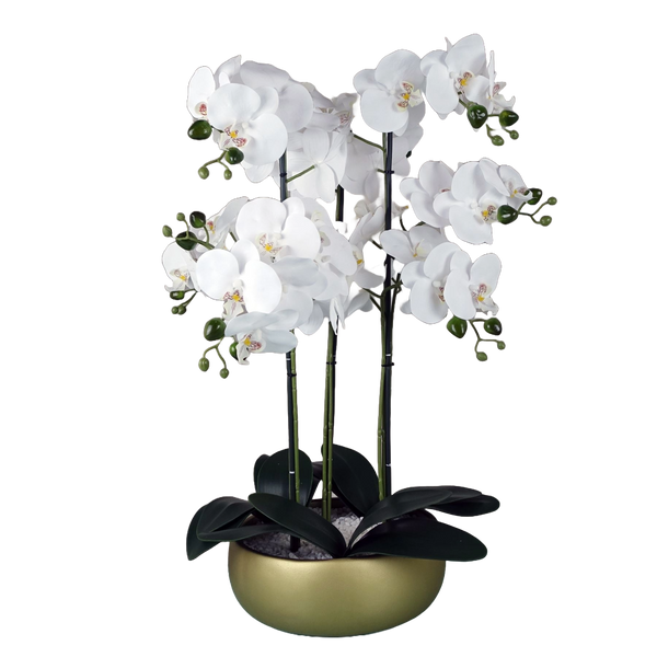Orchid White - Gold Ceramic Planter