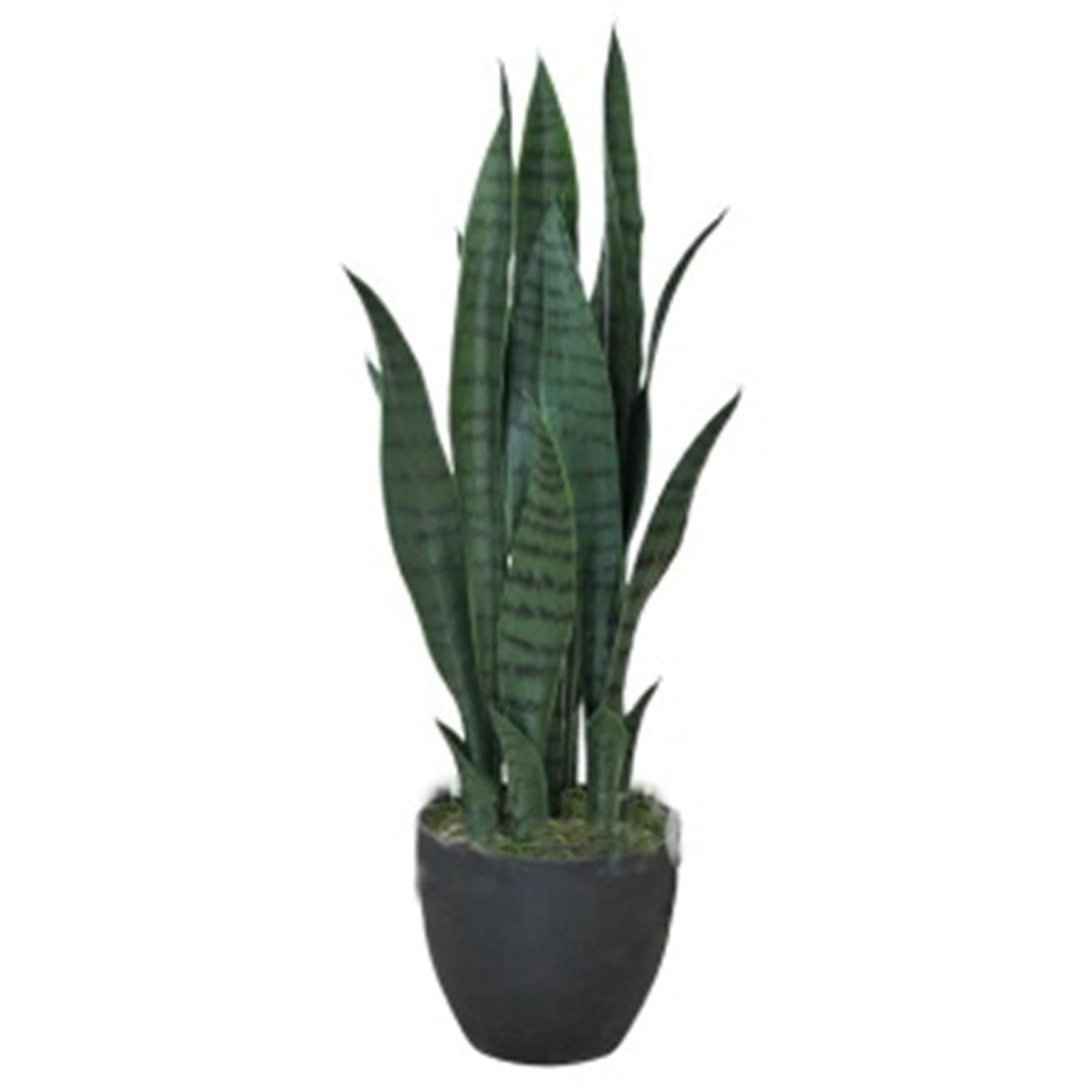 70cm Artificial Sansevieria Dark Green