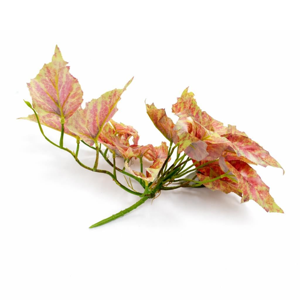 30cm Artificial Trailing Pink and Green Caladium - Premium Quality