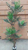 165cm Fire Retardant Nandina Tree with 4857 Leaves
