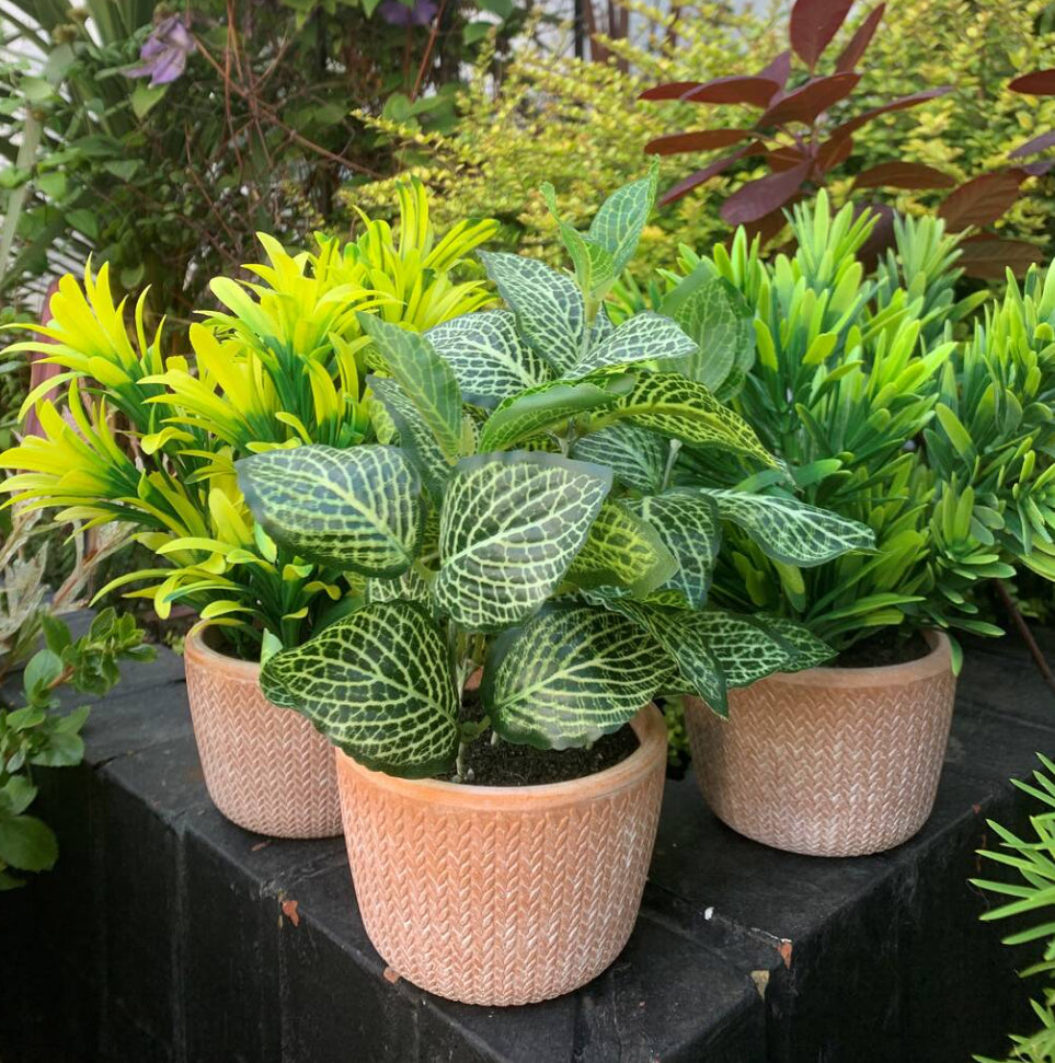 Leaf Three Artificial Plants In Terracotta Pots