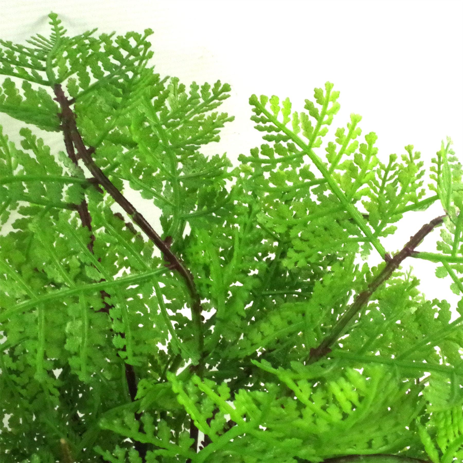 Faux 30cm Potted Lady Fern (Athyrium Filix-Femina)