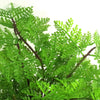 Faux 30cm Potted Lady Fern (Athyrium Filix-Femina)