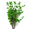 Pack of 6 x 100cm Mini Leaf Ficus Stem