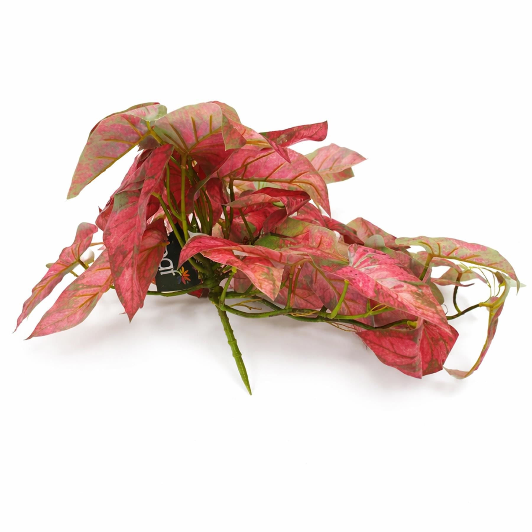 Pack of 6 x 30cm Artificial Trailing Red Caladium