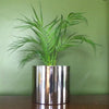 Artificial Palm Tree Foliage Plant Pot 50cm Mini Palm Plants