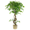 Large Artificial Japanese Fruticosa Ficus Tree Gold 120cm 4ft Realistic Botanik