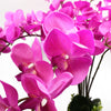 85cm Artificial Deluxe Bush Orchid - Dark Pink with Black Pot - Premium Quality