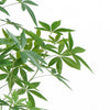 150cm Artificial Money Tree Pachira Realistic Faux Tree - Premium Quality
