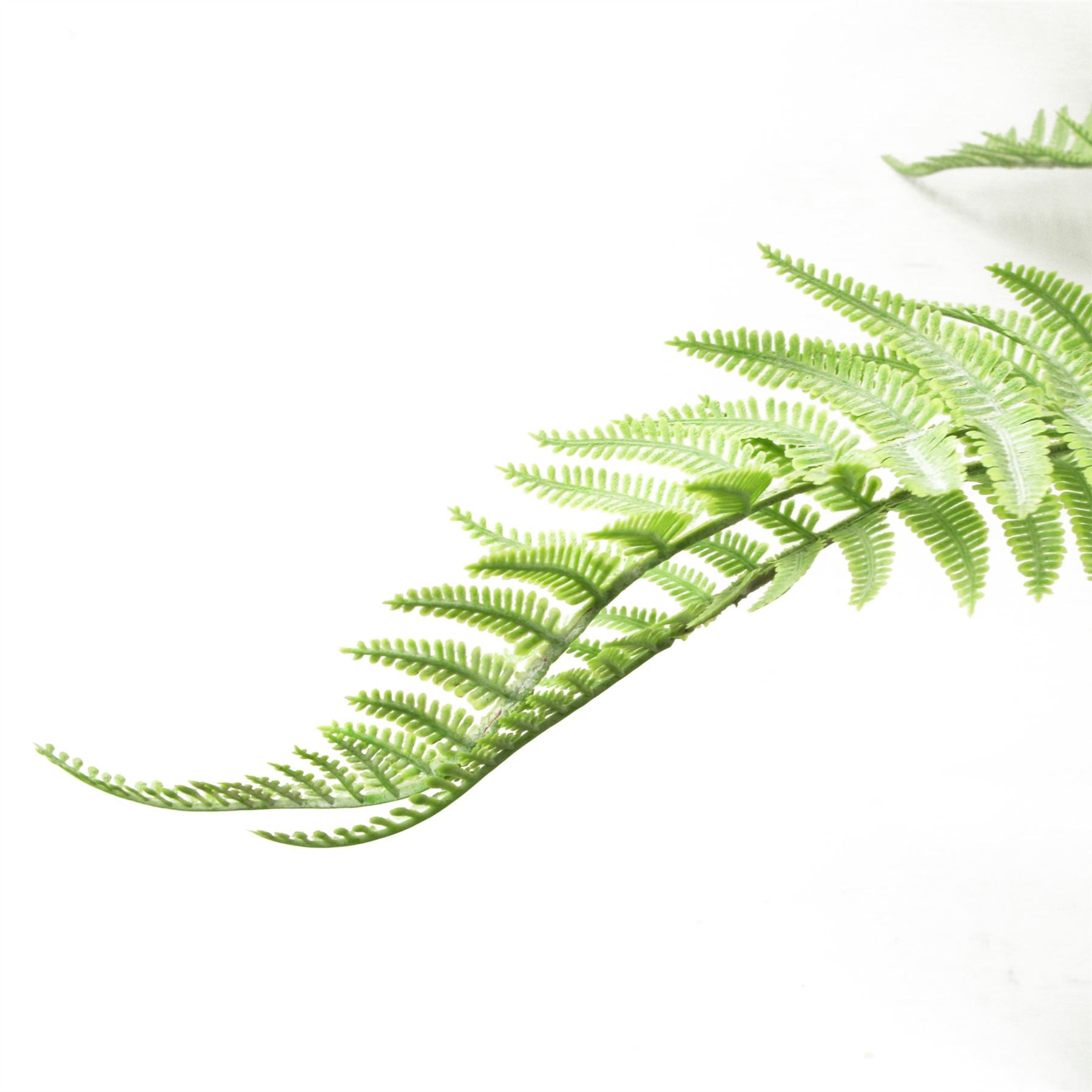 Artificial 60cm Bushy Dixie Wood Fern Light Green Plant