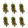 Pack of 6 x 75cm Artificial Trailing Round Leaf Hanging Foliage Plant - Autumn Green & Bronze
