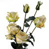 6 x 60cm Cream Rose Artificial Flower Sprays - 24 Flowers 18 Buds - Premium Quality