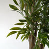 UV Resistant Ruscus Tree- 2716 leaves