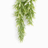 Pack of 6 x 80cm Italian Ruscus Hanging Plant with Realistic Foliage - Light Green - Premium Quality