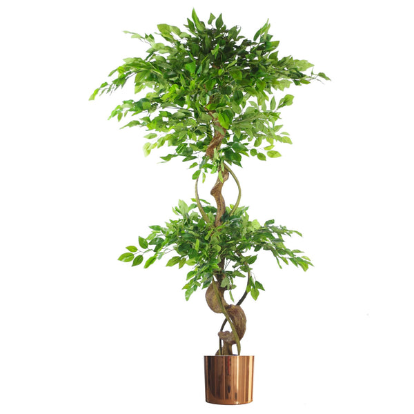 Japanese Fruticosa Ficus Tree Copper Planter 150cm Twisted Trunk Artificial Botanik