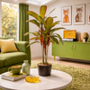 Artificial 100cm Potted Dracaena Tropical Plant