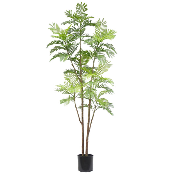 210cm Spiny Date Palm Realistic Artificial Tree - Premium Quality