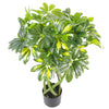 Artificial Plant Tree Arboricola Golden Capella Bush 70cm