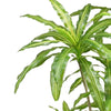180cm Striped Dracaena Realistic Artificial Tree - Premium Quality