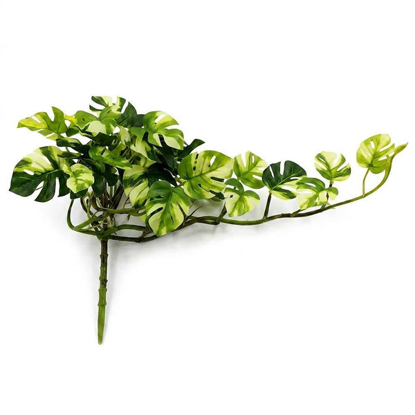 Pack of 6 x 25cm Artificial Trailing Variegated Monstera Vine Plant - Premium Quality