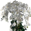 150cm White Orchid Potted Display Artificial