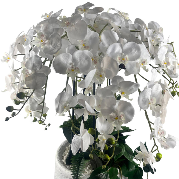 150cm White Orchid Potted Display Artificial