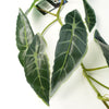 110cm Artificial Hanging Trailing Dark Green Leaf Plant