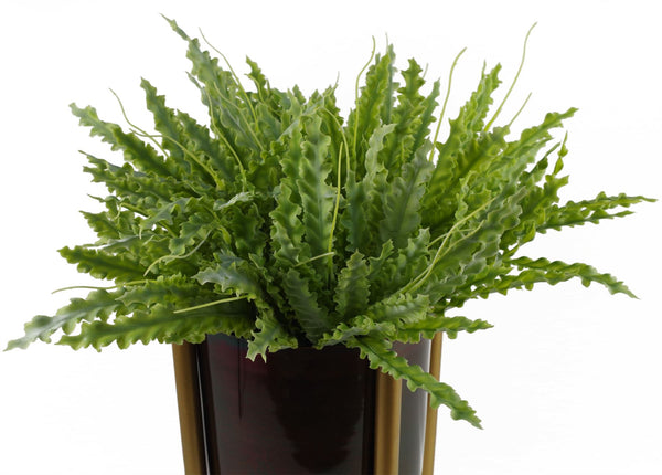 Artificial 40cm Crocodile Fern Plant