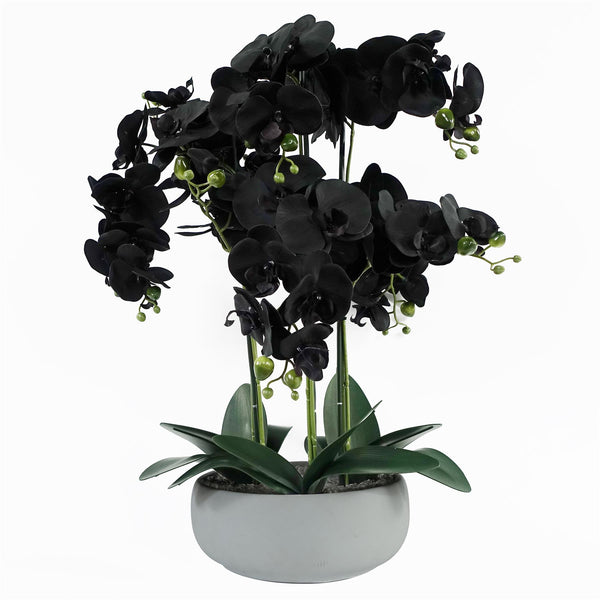 Orchid Black - Gold Ceramic Planter