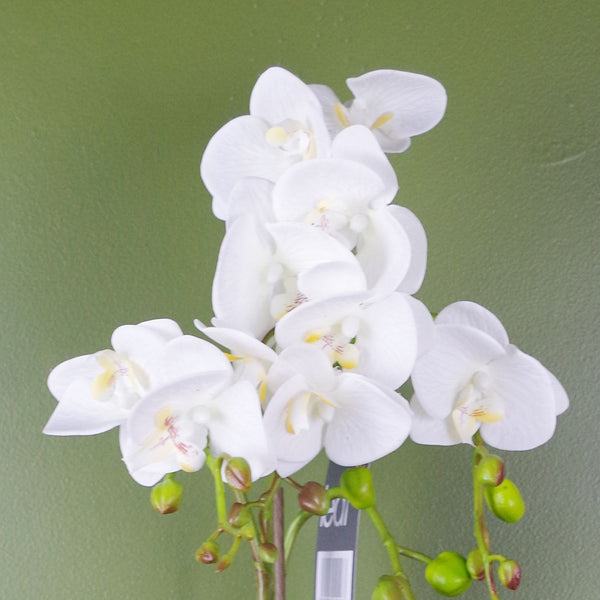 Artificial Orchid Plant White with Gold Pot 54cm Botanik