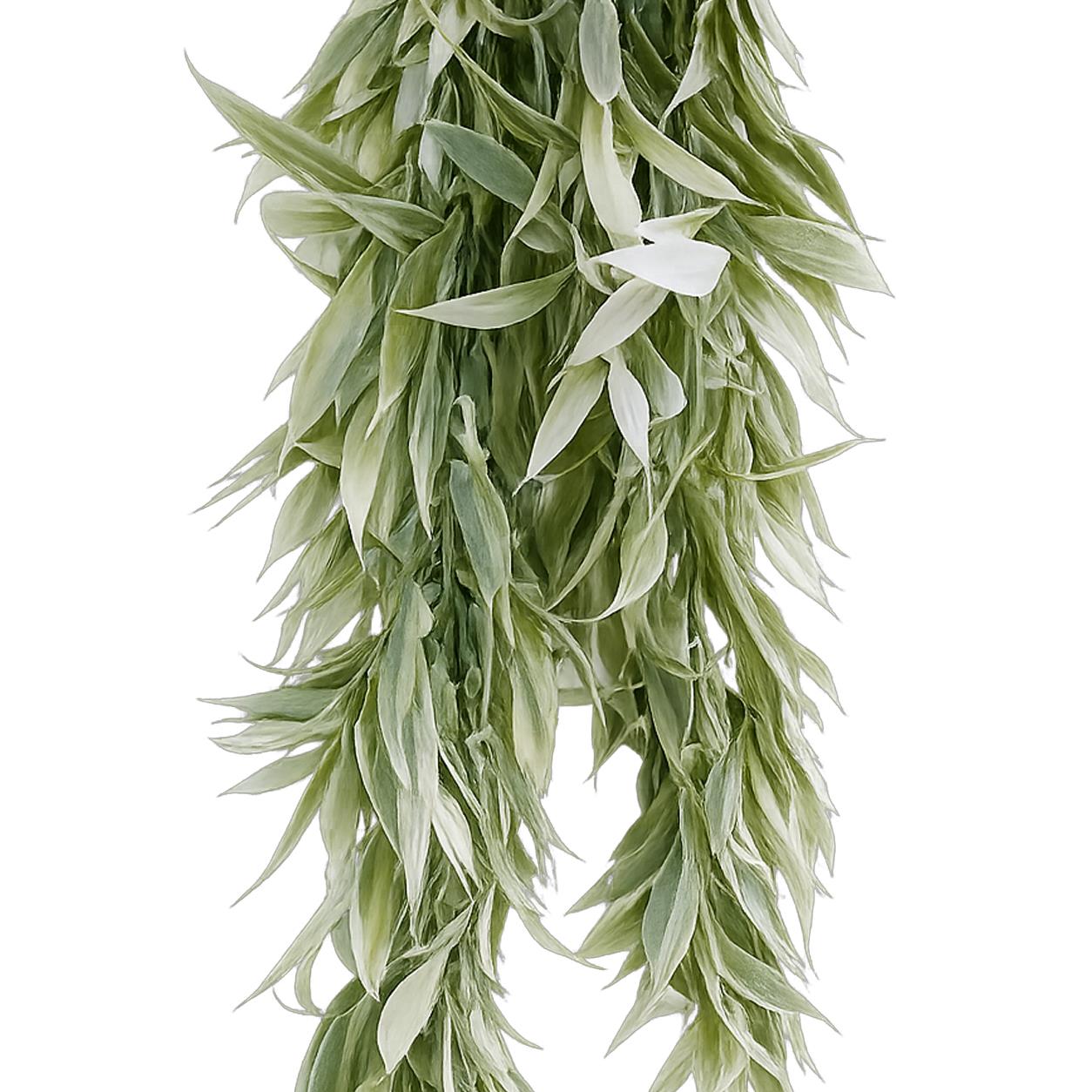 80cm Italian Ruscus Hanging Plant with Realistic Foliage - Light Green