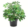 Artificial Arboricola Plant Umbrella Tree Black Plastic Pot 55cm Dark Plant Botanik