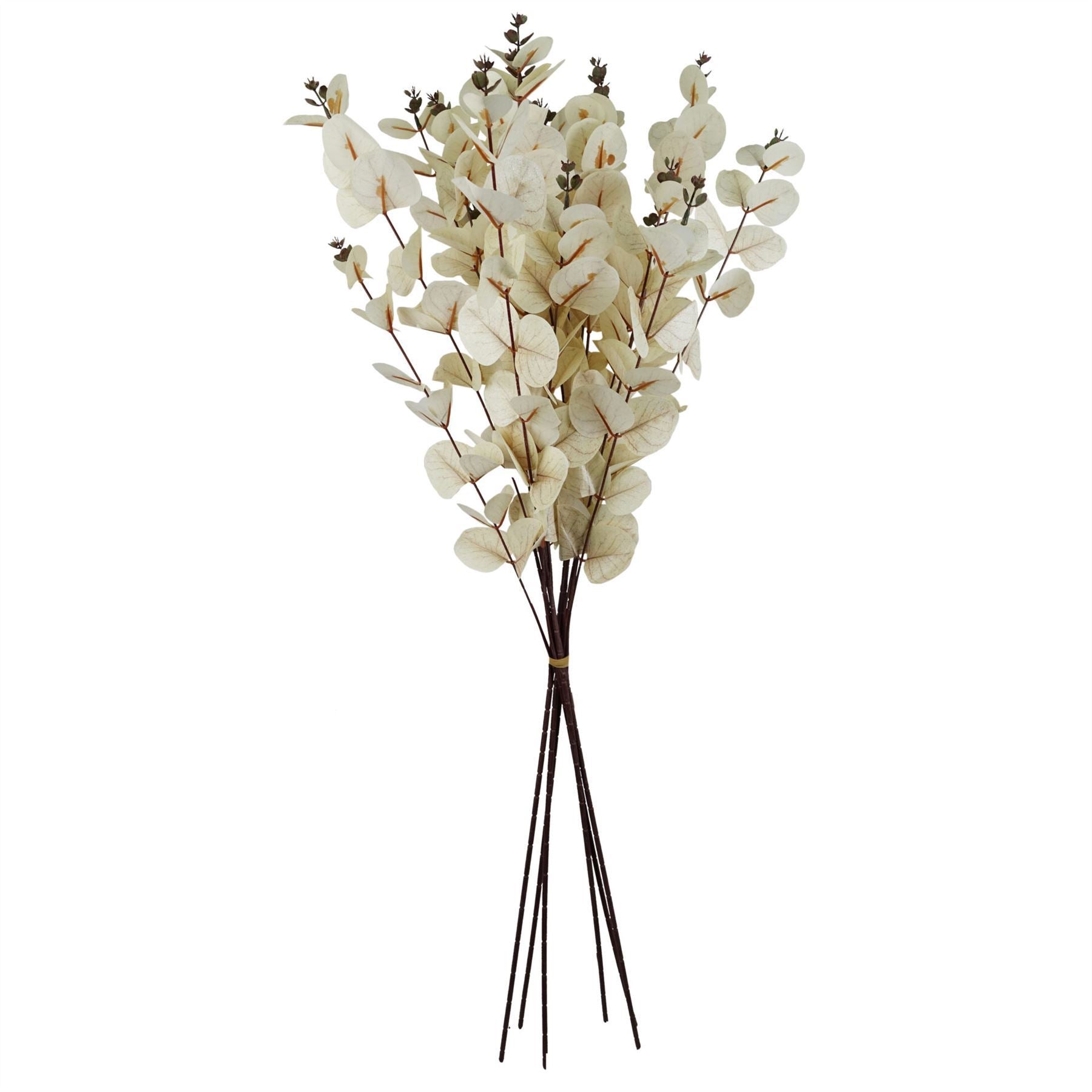 Pack of 6 x 80cm White Eucalyptus Foliage Stem - Premium Quality