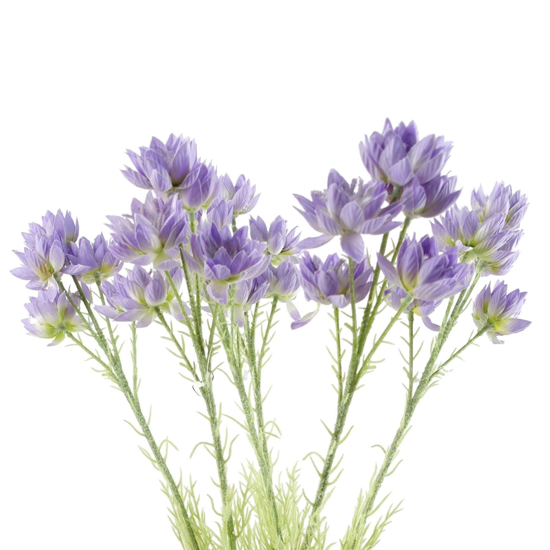 Pack of 6 x 60cm Purple Starflower Stem - 30 Flowers - Premium Quality