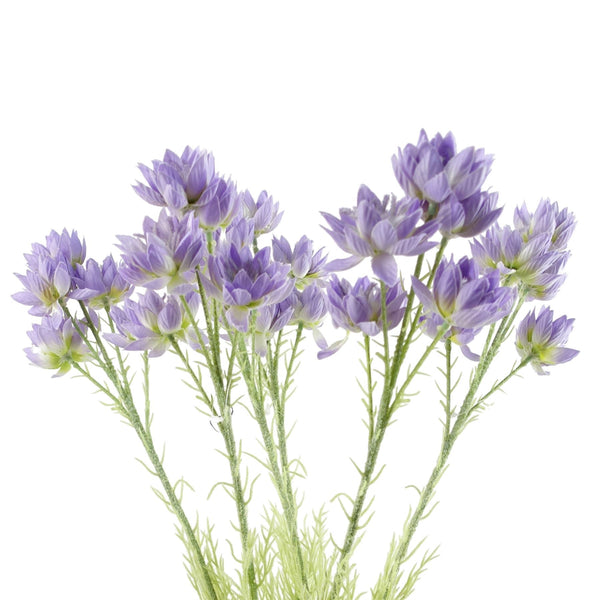 Pack of 6 x 60cm Purple Starflower Stem - 30 Flowers - Premium Quality